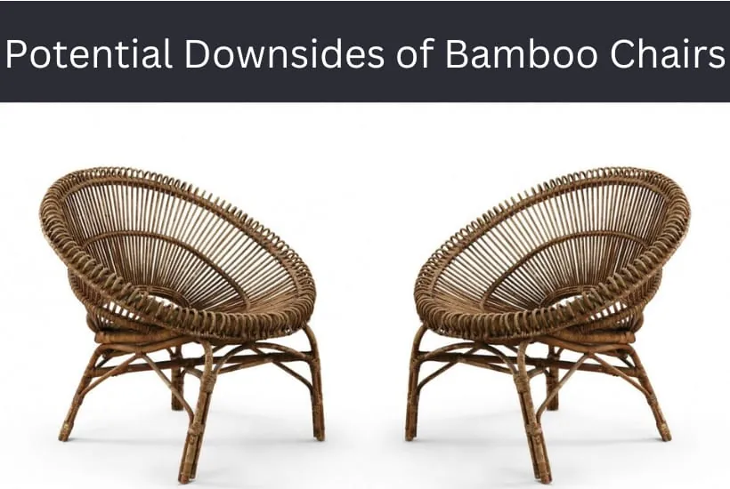 Potential Downsides of Bamboo Chairs