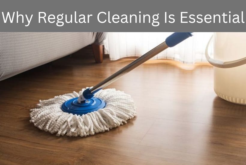 Why Regular Cleaning Is Essential